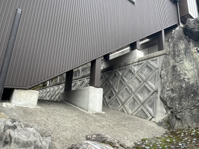 S__96124953_0